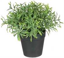 Kunsttaim potis Splendid Herbs 1, 20 cm, roheline