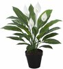 Kunsttaim SPATHE, 60 cm