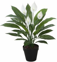 Kunsttaim SPATHE, 60 cm