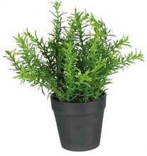 Kunsttaim potis Splendid Herbs 3, 22 x 15 cm, roheline