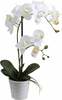 Kunstlill potis Home4you In Garden Orchid, 51 cm, valge/roheline
