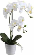 Kunstlill potis Home4you In Garden Orchid, 51 cm, valge/roheline