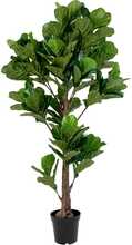 Kunsttaim House Nordic Fiddle Leaf Tree, 190 cm, roheline