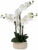 Kunsttaim orhidee Home4you Wind In Garden, 55 cm, valge