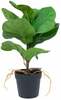 Kunsttaim potis Home4you Greenland Clusia rosea, roheline, 35 cm