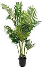 Kunstpalm House Nordic Areca, 175 cm, roheline