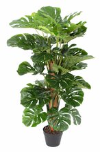 Kunsttaim Monstera, 105 cm, roheline