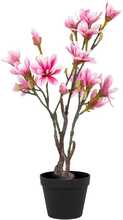 Kunstlill Magnolia House Nordic, 74 cm, roosa