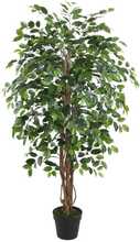 Kunstpuu Home4You WIND FICUS, 150 cm