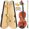 Viiul koos koodriga NN SKRZYPCE 3/4