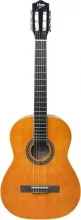 Klassikaline kitarr V-Tone CG TWO YL 4/4 natural dr