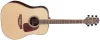 Akustiline kitarr Takamine GD93-NAT