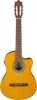 Kitarr Ibanez GA3ECE-OAM mikrofoniga