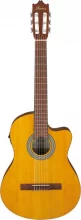 Kitarr Ibanez GA3ECE-OAM mikrofoniga