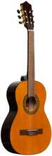 Klassikaline kitarr Stagg SCL60 3/4