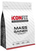 Mass Gainer Vanilla pulber, 1500 g
