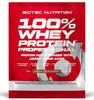 Scitec 100 prots. Whey Protein Professional, 30 g