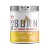 PHD Burn pulber enne trenni, sidruni maitsega, 200 g