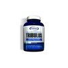 Gaspari Nutrition Tribulus, 90 kapslit