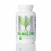 Universal Nutrition calcium zinc magnesium, 100 tabletti
