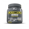 Olimp Blackweiler Shred 480g, eksootilise apelsini maitsega