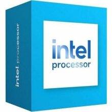 Intel Processor 300