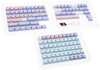 Klaviatuuri klahvikatted Ducky Macaron PBT Doubleshot, 133 tk, sinine/roosa/lilla