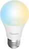 Nutikas LED Wifi pirn Sonoff B02-BL-A60, E27, 9W