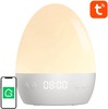 Nutikas öölamp Gosund LB2S Tuya WiFi RGBW 16M