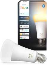 Nutikas pirn Philips Hue White Ambiance E27, 1600 lm