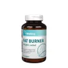 Vitaking Fat Burner, 90 pehmekapslit