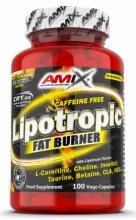 Lipotropic Fat Burner, 100 kapslit