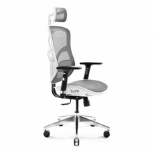 Mänguritool Diablo V-Basic, valge/hall