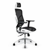 Mänguritool Diablo Chairs V-Basic, valge/must