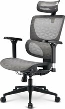 Kontoritool Sharkoon OfficePal C40M, hall