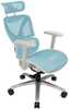 Ergonoomiline kontoritool ThunderX3 XTC, valge/sinine