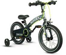 Tasakaaluratas Qplay Miniby 14 tolli, hall