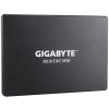 Gigabyte GP-GSTFS31256GTND