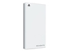 Seagate STMH1000200