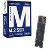 Biostar M760 M.2 256GB