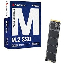 Biostar M760 M.2 256GB