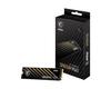 MSI Spatium M461 M.2 2TB