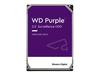 WD WD11PURZ