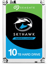 Seagate SkyHawk AI 10TB