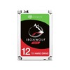 Seagate Iron Wolf Nas ST12000VN0008 12TB
