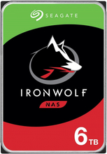 Seagate IronWolf 6TB