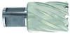 Augusaag Tivoly HSS, 13x60x30 mm, kinnitus 19 mm Weldon