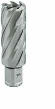 Augufrees Euroboor HSS, 22x55 mm