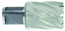 Kroonpuur Tivoly HSS, 24x60x30 mm, kinnitus 19 mm, Weldon
