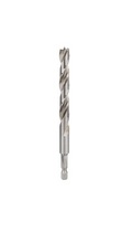 Puidupuur Bosch 10 x 133 mm